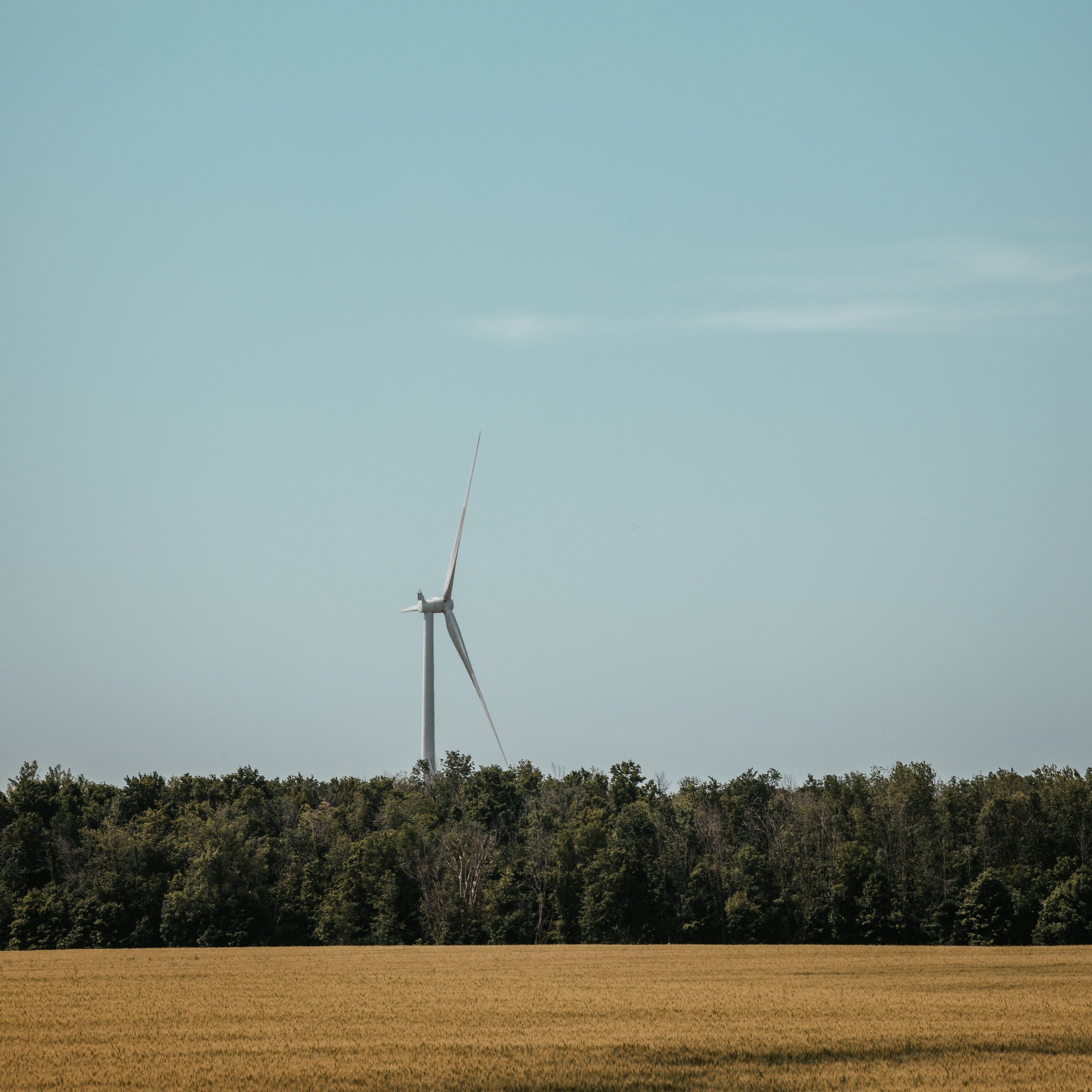 the-turbine-watchman